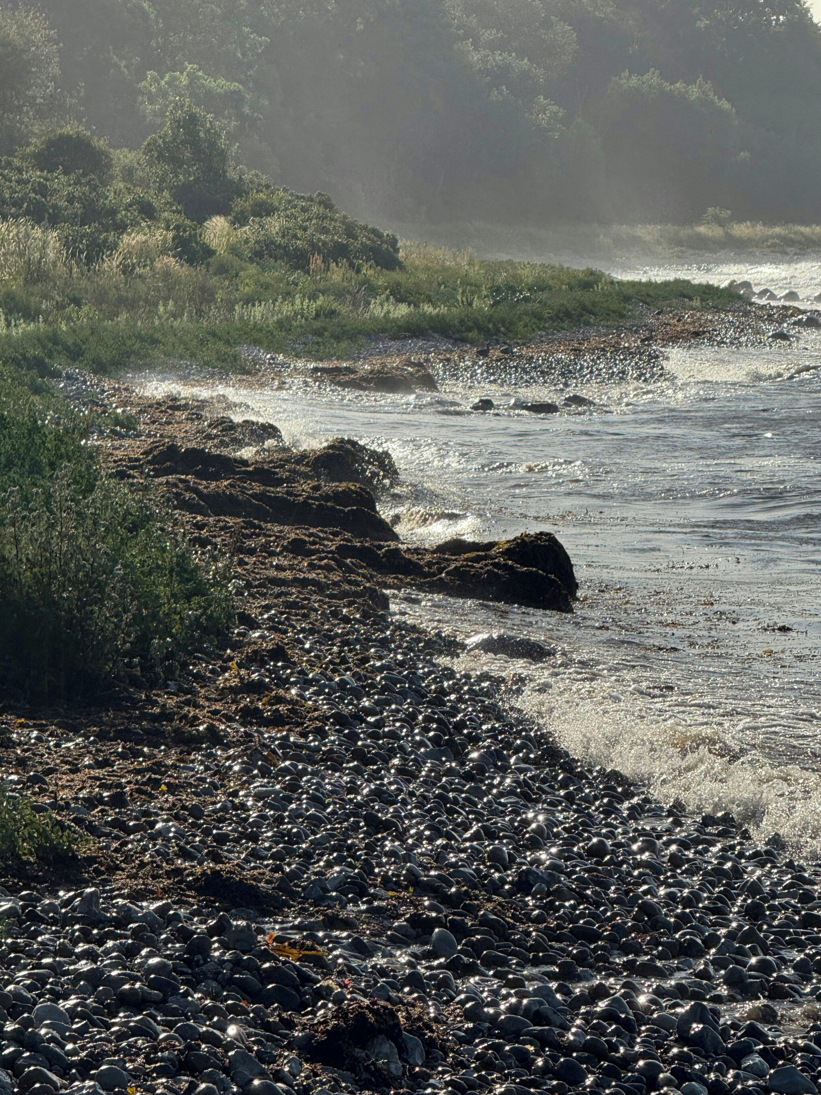 A rocky shoreline with waves, vegetation, and a distant view of the sea.