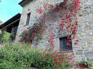 Ein mit Efeu und roten Blüten bewachsenes Steinhaus.