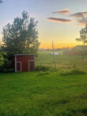 Property grounds - Cosy Swedish house on Lake Fryken with fireplace (Östra Ämtervik)