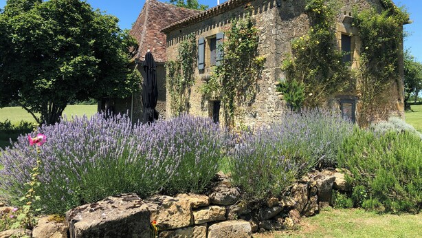 A stone building with a tiled roof, ivy-covered walls, and a garden with lavender. - Charming mas with medieval church views (Sainte Croix)