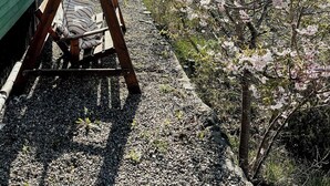 A wooden swing set with a white cushion, a green building, and cherry blossom trees. - Artist's dream in scenic Södermanland (Gnesta)