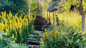 En trætrap omgivet af frodig vegetation og gule blomster.
