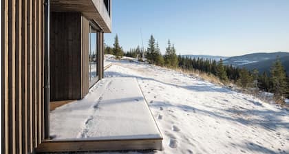 Apartment with ski in/out on Svartskard