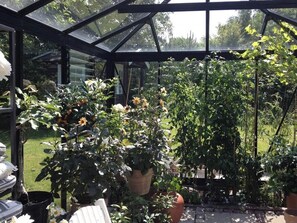 Ein Gewächshaus mit Topfpflanzen und Blumen, einer hölzernen Bank und einer Glasdachkonstruktion.