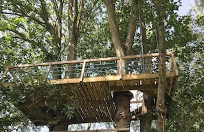 Eine hölzerne Brücke mit Metallgeländern, die von Bäumen getragen wird, in einem bewaldeten Gebiet.