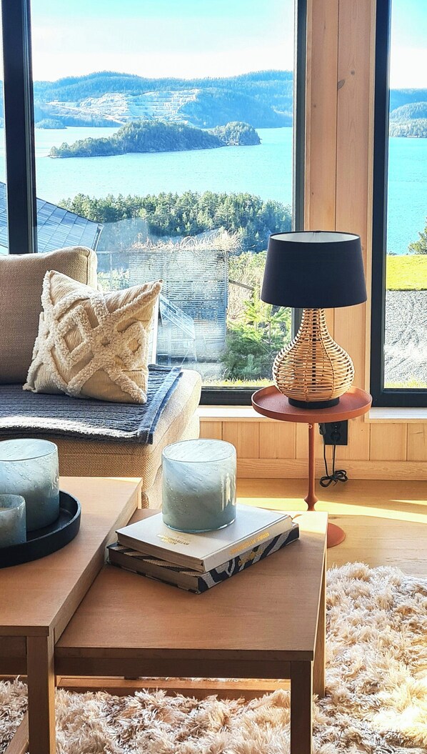 TV, fireplace - Modern cabin with sea view in Kragerø (Stabbestad)