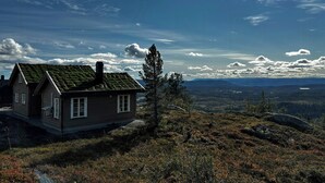 Oklassificerad bild, 4 av 12, knapp