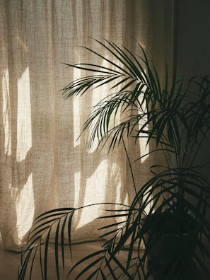 Interior - Rural oasis in scenic surroundings (Jyderup)