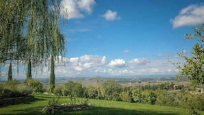 Eine grüne Landschaft mit Bäumen und blauem Himmel.