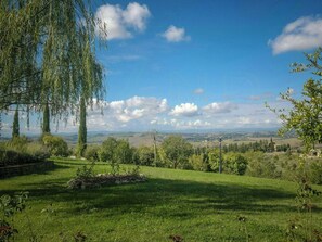 Eine grüne Landschaft mit Bäumen und blauem Himmel.