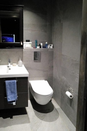 Bathroom. Cabin in alpine slope near Besseggen