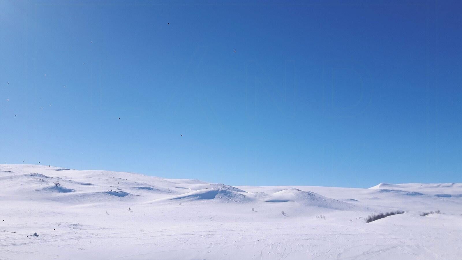 Sneeuw- en skisporten