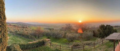 A scenic view of a countryside landscape with a sunset, a tall tree, and a wooden fence.