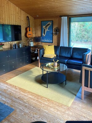 Ein Wohnzimmer mit einem blauen Sofa, einem Glastisch, einer Gitarre, einem Fernseher und einem Vogelposter.