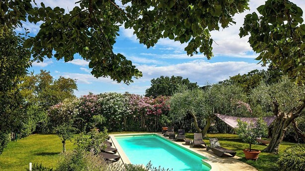 Une piscine rectangulaire entourée d’une terrasse, elle-même bordée d’une végétation luxuriante et de plantes en fleurs.