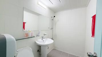 Hair dryer, towels, soap, shampoo