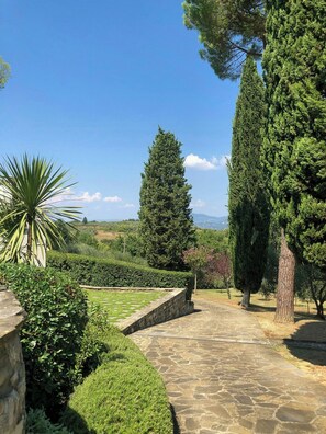 Ein gepflegter Garten mit verschiedenen Bäumen und Sträuchern, durch den ein Steinweg führt.