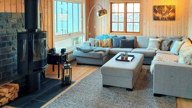 Fernseher, Kamin