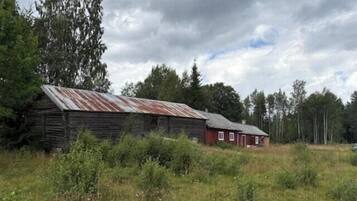 Eksteriør