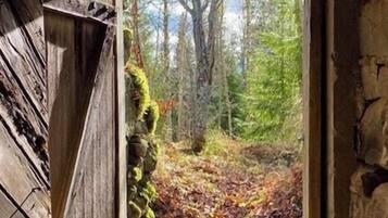 Interiör