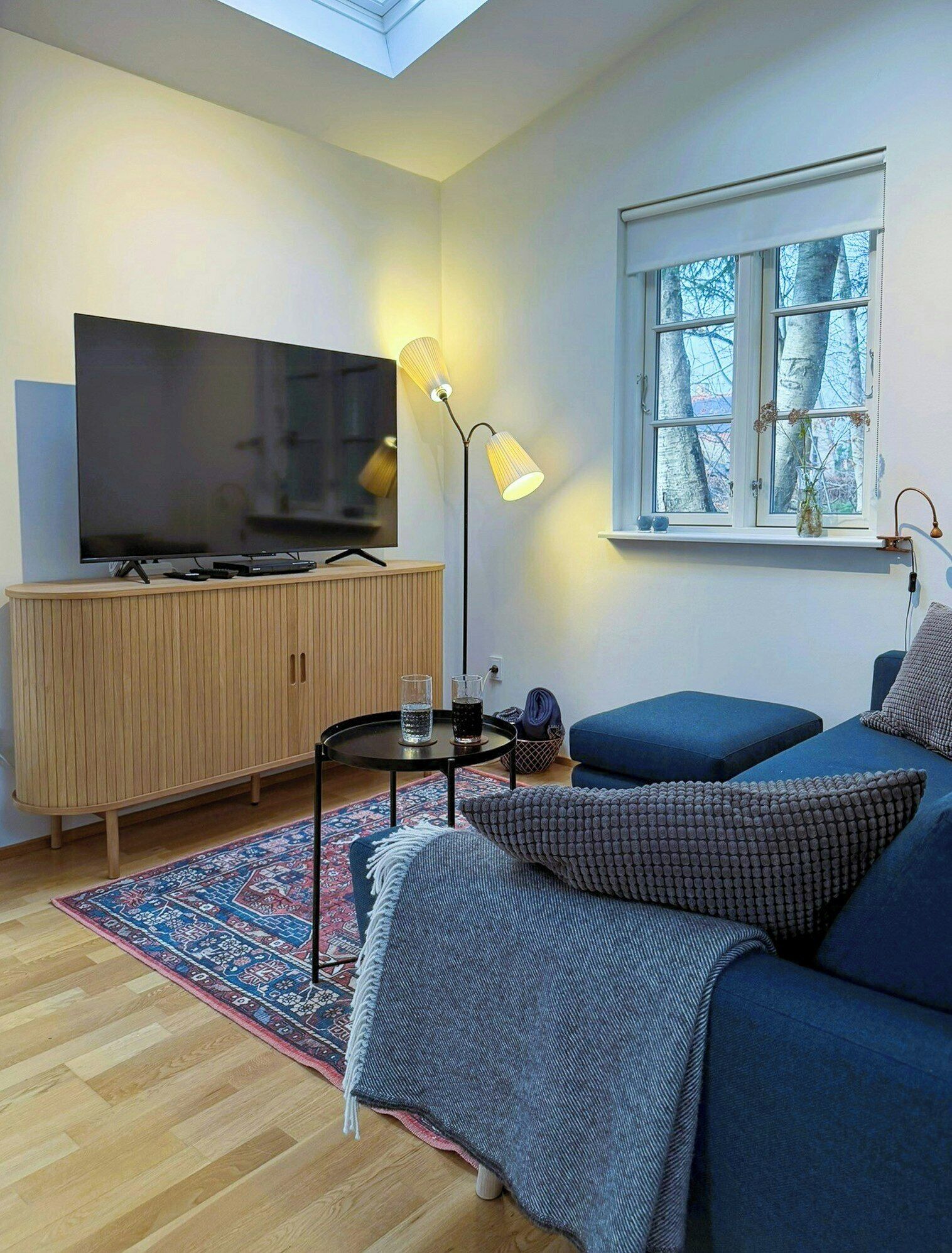 TV