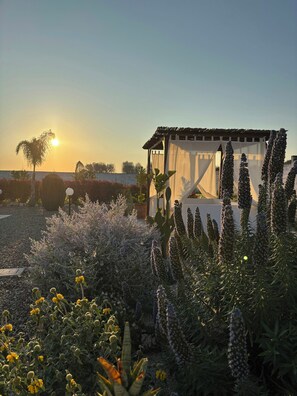 Ein Garten mit einem Gazebo, verschiedenen Pflanzen und blauem Himmel.