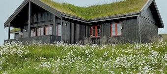 Hyggelig hytte ved Golsfjellet alpinsenter