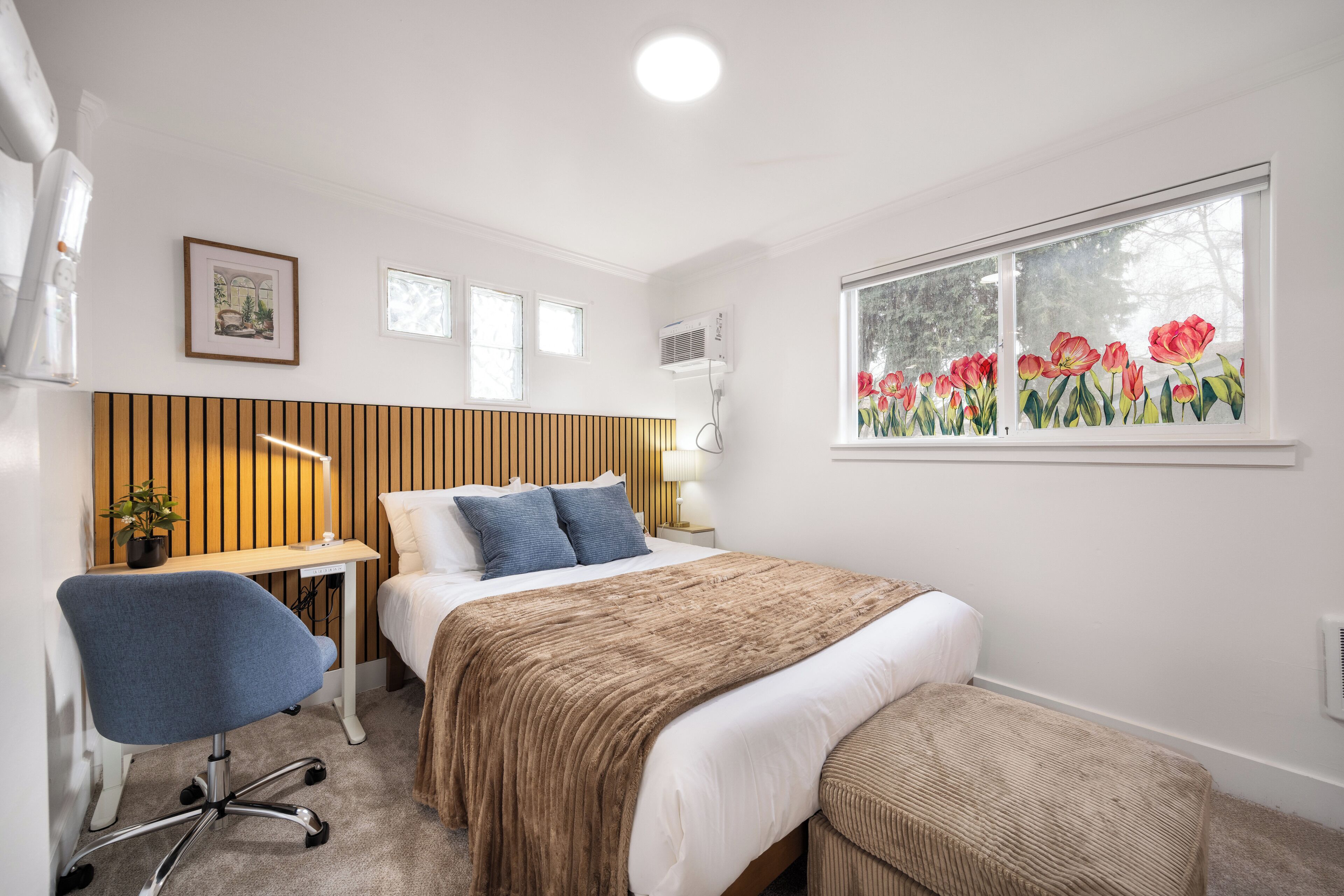Comfort Apartment, 1 Queen Bed, Non Smoking, Kitchen