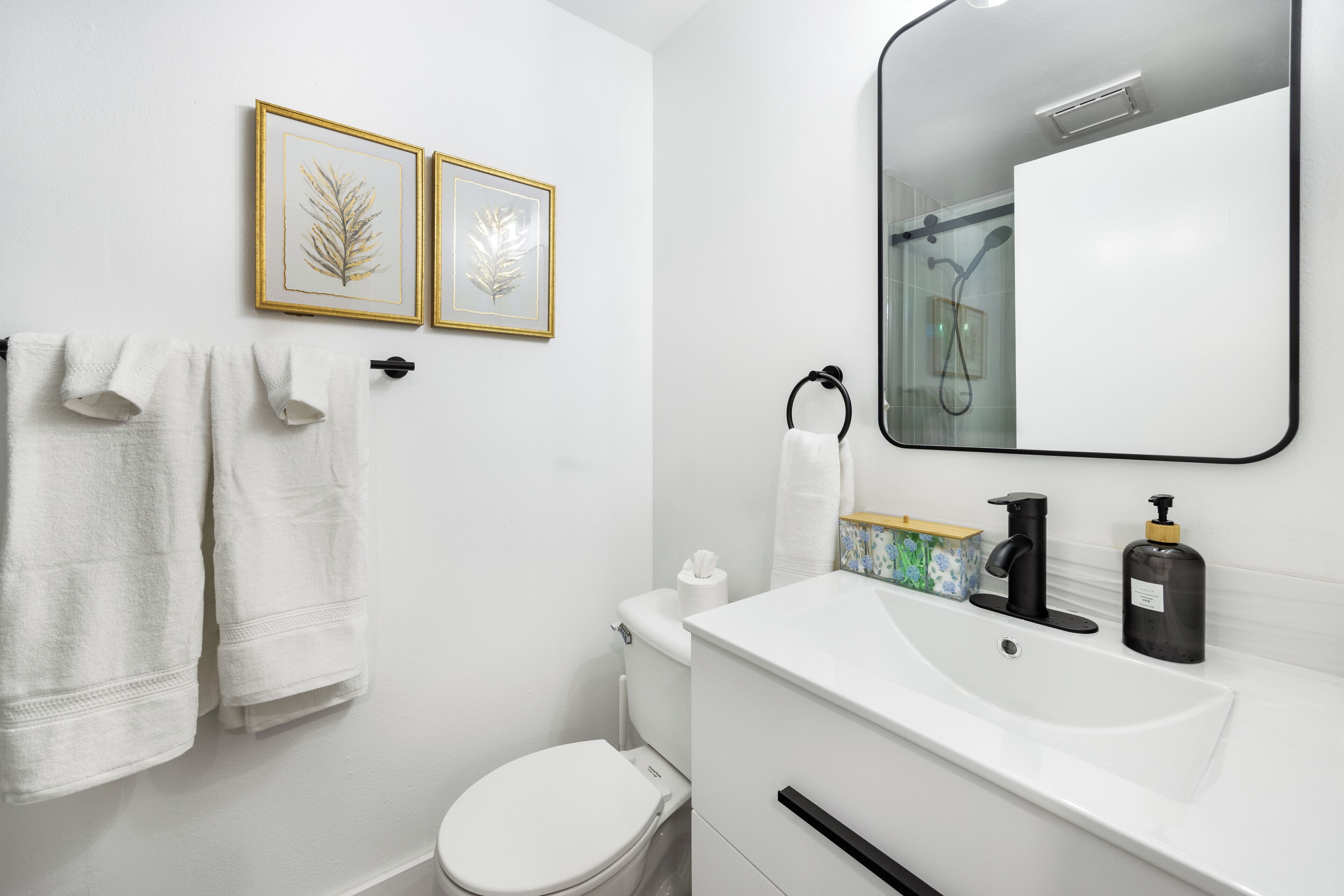 A bathroom with white fixtures, a toilet, a sink with a mirror, and two framed leaf artworks on the wall.