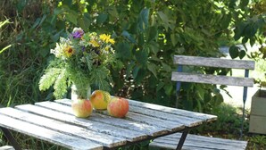 A wooden picnic table with a floral arrangement and apples.