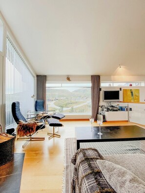 TV, fireplace - Charming cabin overlooking Vegglifjell (Veggli)