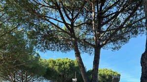 A single-story building with a tiled roof, a front door, and a small porch area. - Private villa among pine trees and lavender (Marina Di Grosseto)