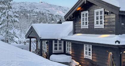 Cosy cabin with jacuzzi right by the ski slope