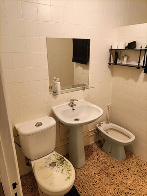 Dusche, Bidet, Handtücher, Seife