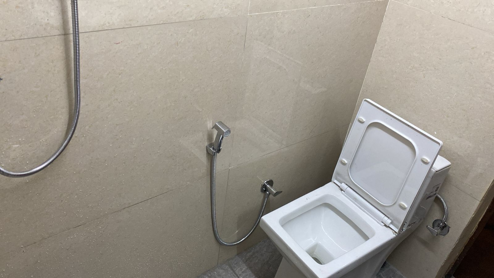 Ducha, toallas, jabón, shampoo