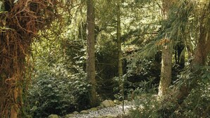 Un'area boscosa con un sentiero sterrato e alberi.