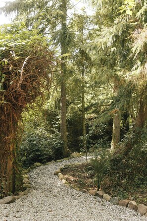 Ein bewaldetes Gebiet mit einem Kiesweg und Bäumen.