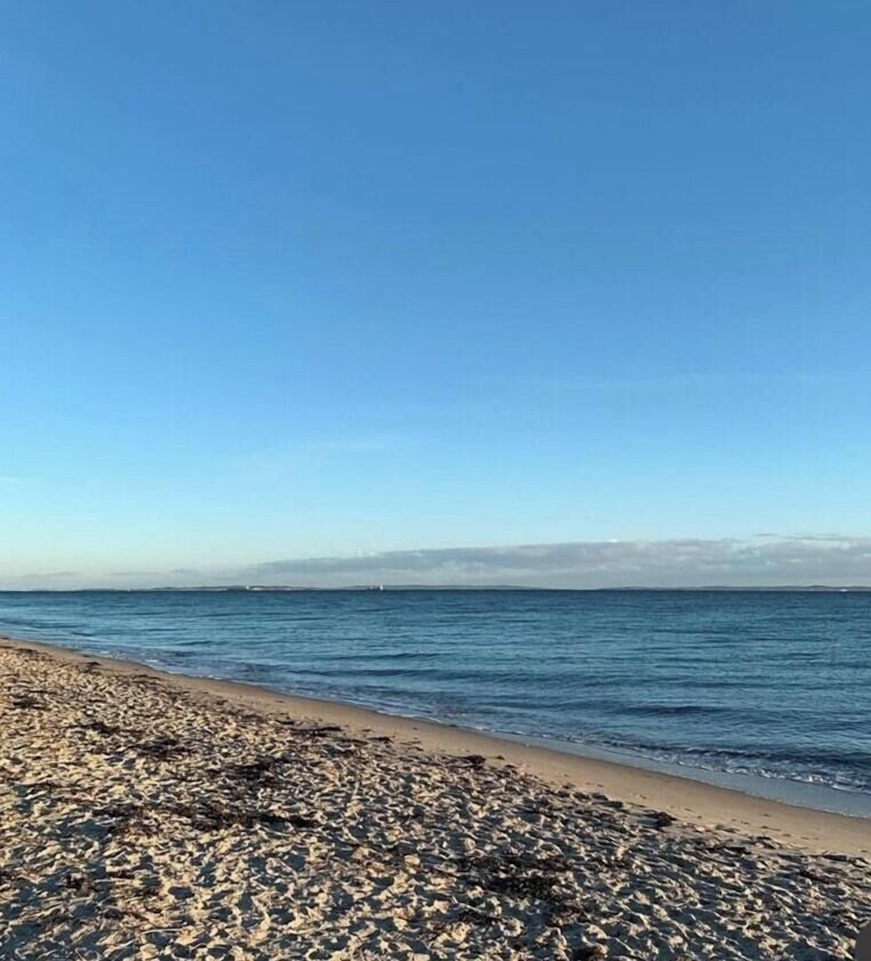 شاطئ