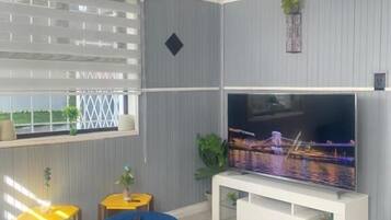 TV