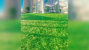 A modern house with a glass door, a small patio with a chair, and a well-maintained lawn. - Quaaamiii Accomodation (Cape Town)