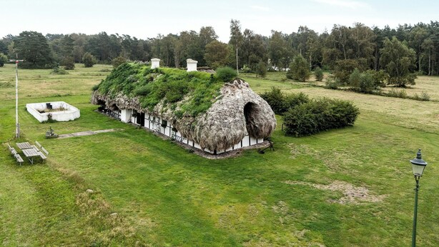 Uma casa com telhado de palha, rodeada por um campo gramado e árvores.