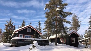 Uklassifisert bilde, 2 av 24, knapp