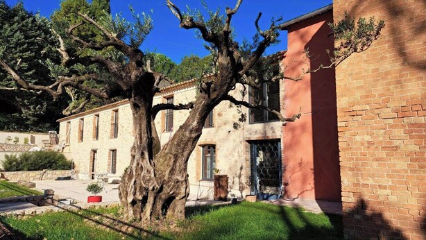 Ein Gebäude mit einem großen Baum davor, Steinmauern und einem roten Backsteinbereich.