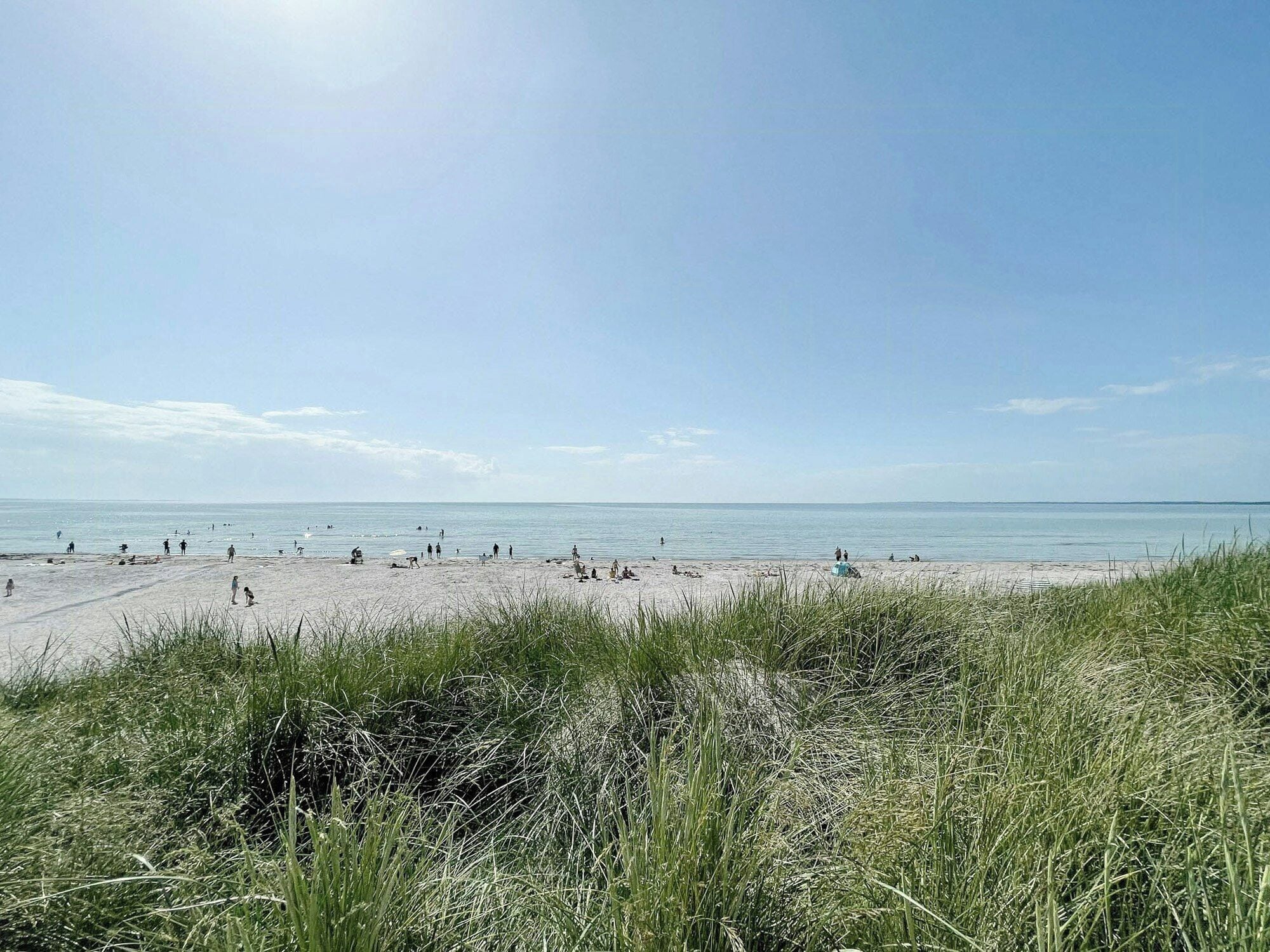 A beach with people, grass in the foreground, and a clear sky.