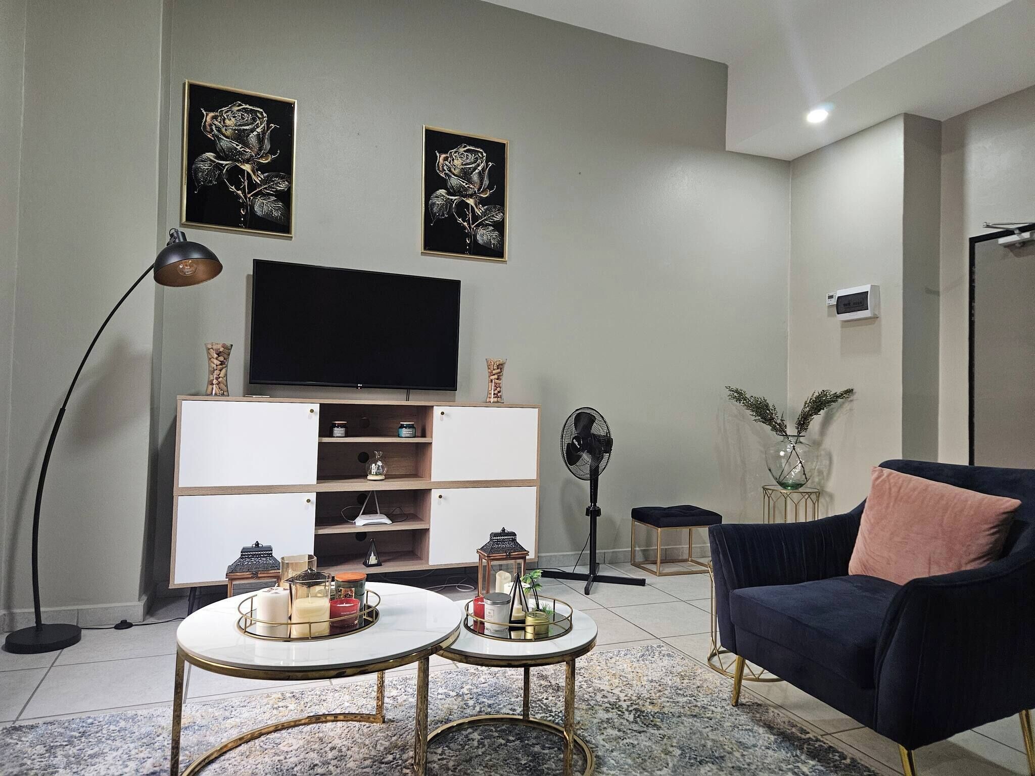 Fernseher