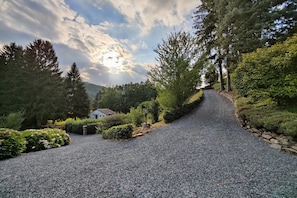 Ein unbefestigter Weg führt zu einem Haus, umgeben von dichten Bäumen und viel Grün.