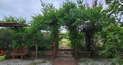 Villa in Sant'onofrio-floriano with 6 bedrooms sleeps 19