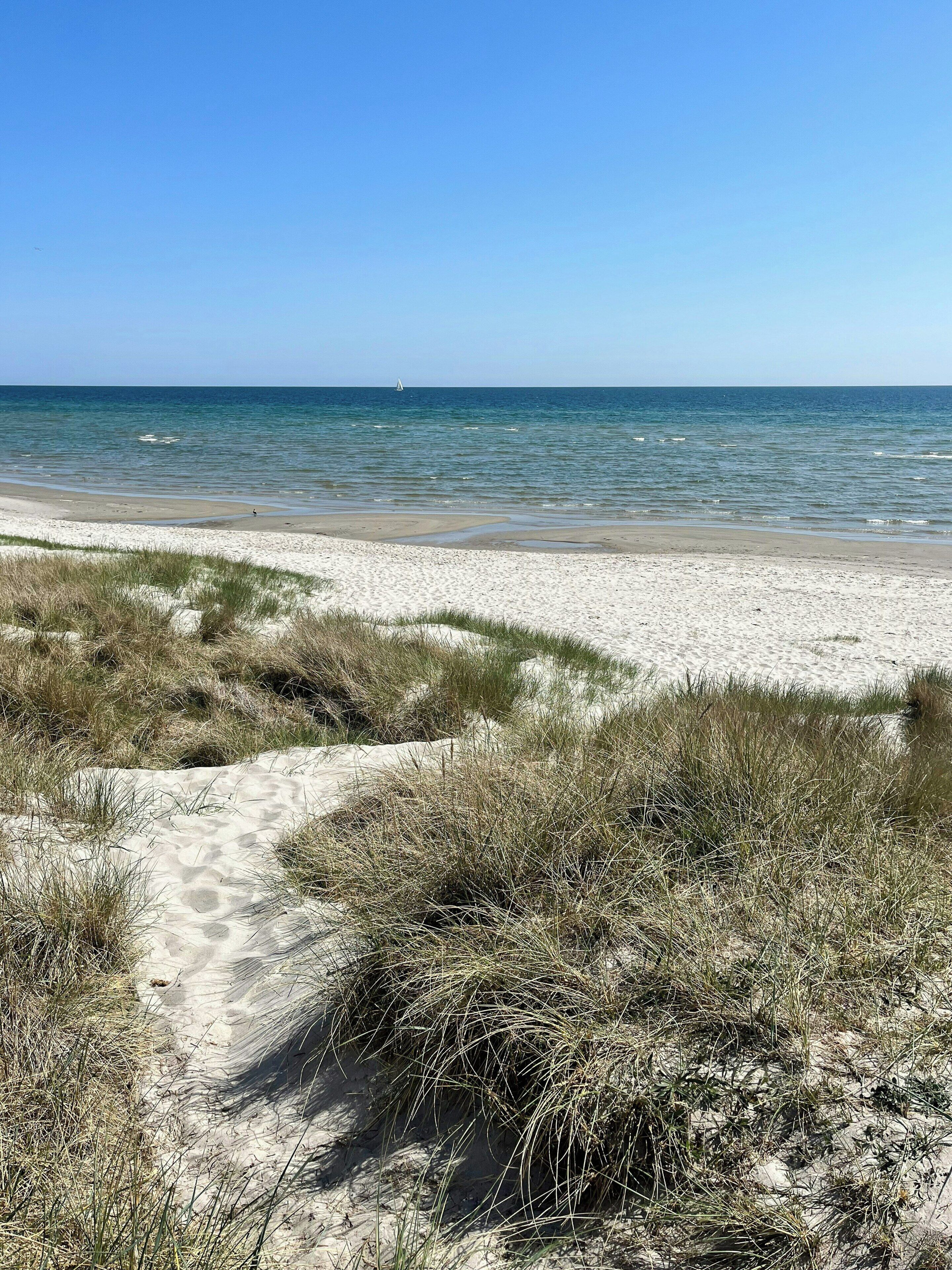 Een strand met een helder pad dat naar het water leidt, omgeven door zand en gras.