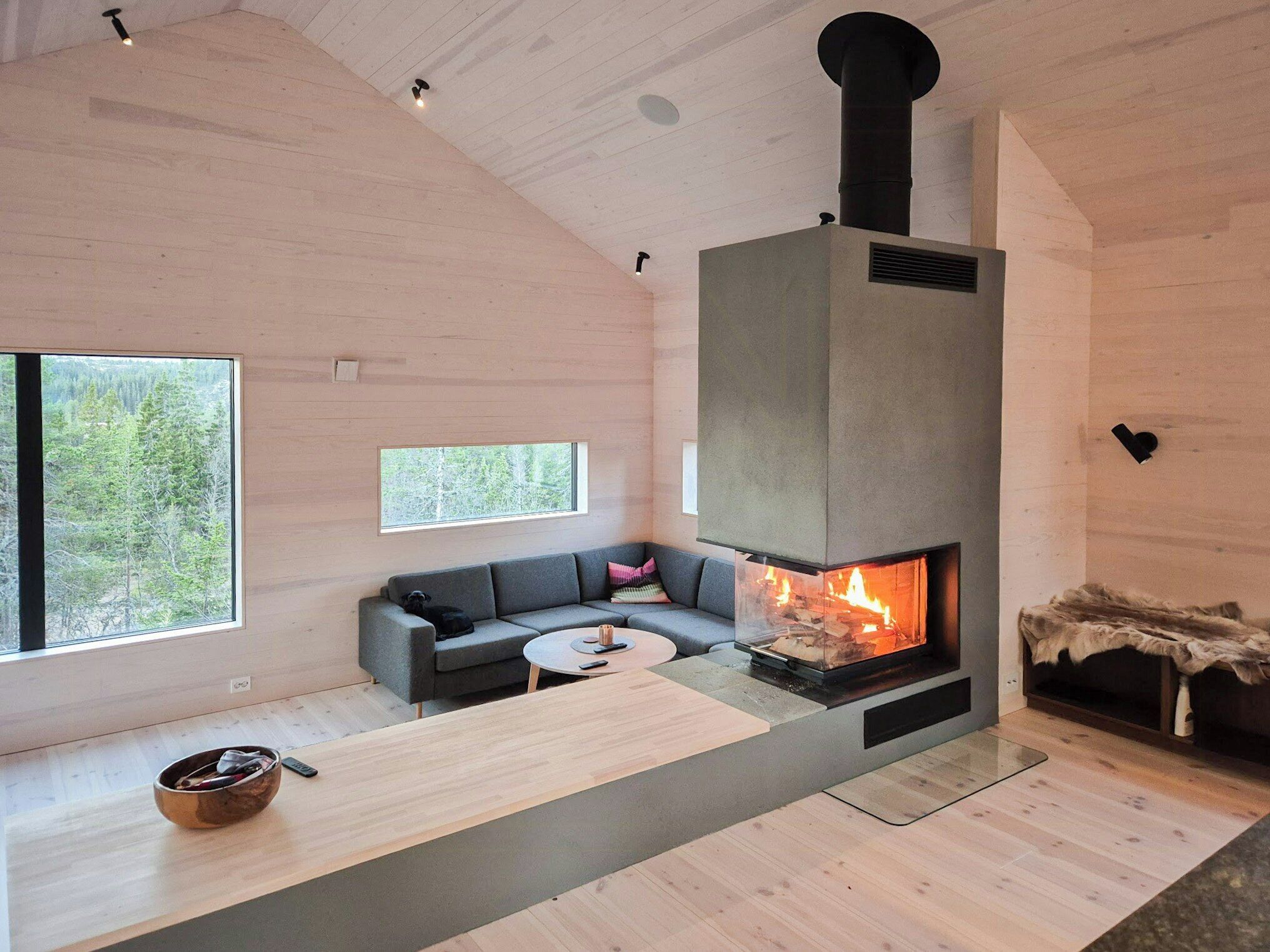 Televisión y chimenea 