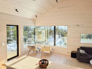 Fernseher, Kamin